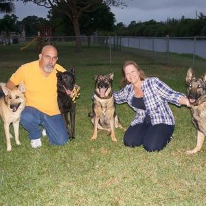 Meet your Posher, Barry